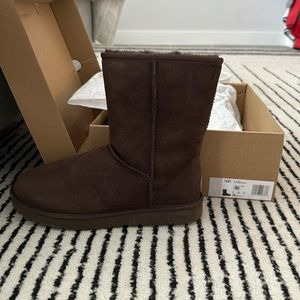 Chocolate brown Classic Short II UGGs. Worn once. Great condition.